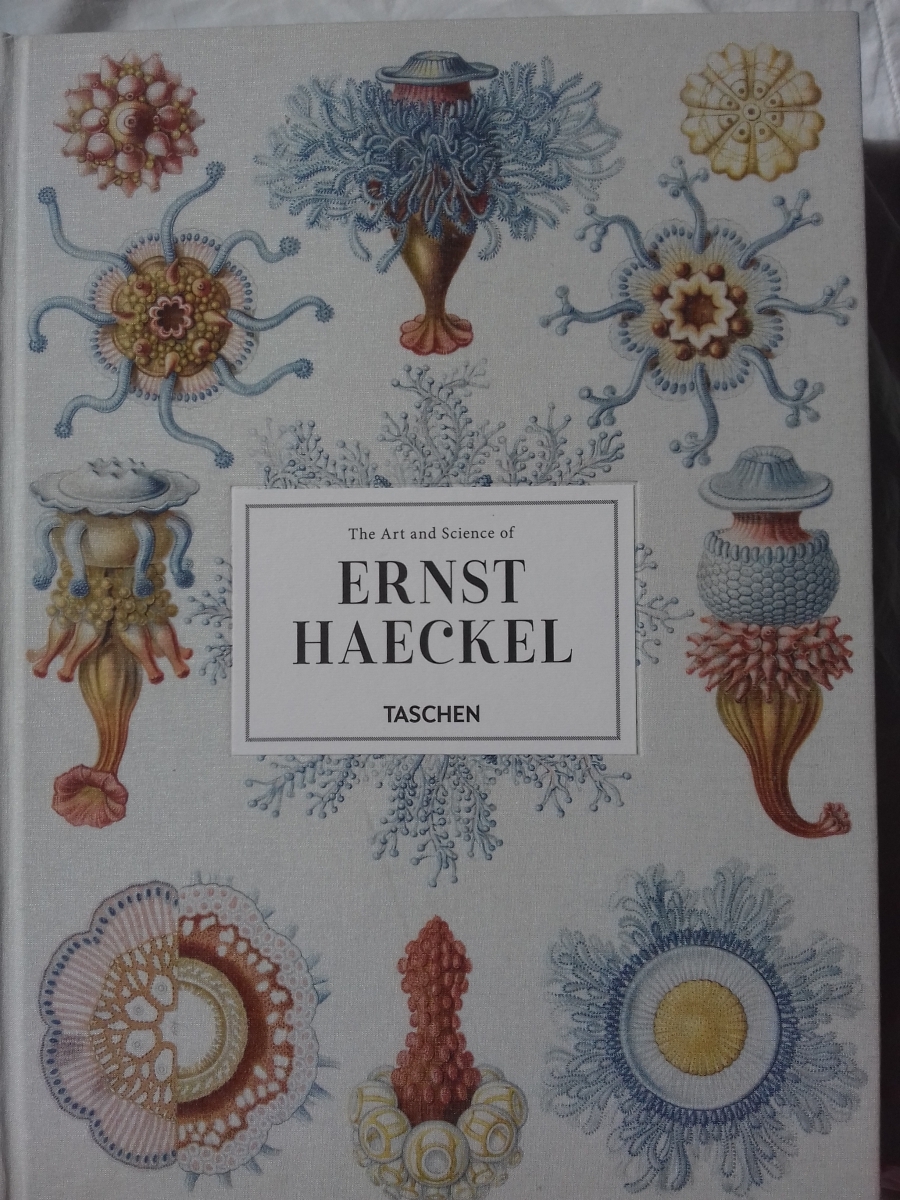 Ernst Haeckel Taschen